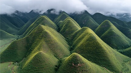 Lush Green Hill Mountains Covered in Fog in a Scenic Landscape