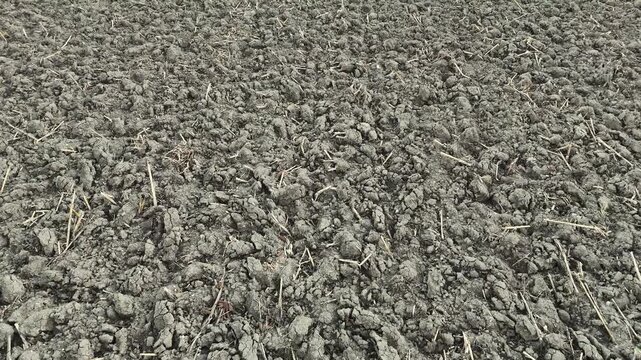Detailed top-down aerial drone footage of rough ploughed agricultural soil. A close-up view of dry dirt clods and earth texture on a farming field ready for spring cultivation.
