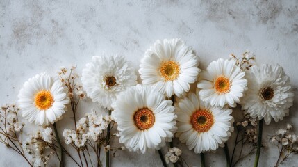 Obraz premium Fresh White Flowers Arrangement on Gray Background with Delicate Accents Capturing Natural Beauty and Elegance for Various Design Projects