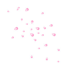 Scattered pink cherry blossom