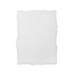 Fototapeta premium Torn paper sheet on transparent background for design