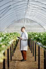 Vertical shot of Caucasian young adult man wearing lab coat standing in greenhouse inspecting...