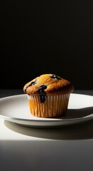This warm, soft, freshly baked blueberry muffin rests on a clean white ceramic plate, illuminated by gentle morning light for breakfast, food, eating, dish