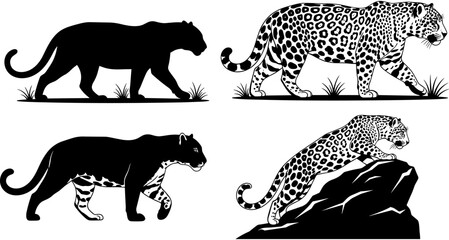 Black jaguar silhouette and leopard with spotted pattern illustrations set, wild predatory cat walking and climbing on rocks vector art © Delowara