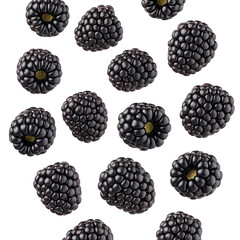 blackberries on a white background