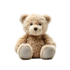 Obraz premium teddy bear isolated on white