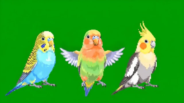 Pixel Art Animated Birds: Budgie, Lovebird, and Cockatiel Dance in Sync