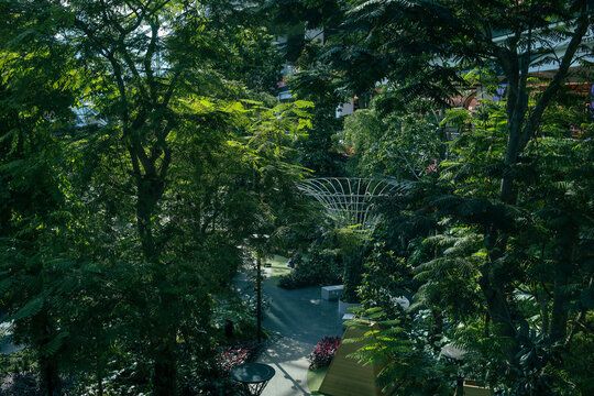 Peaceful Green Park Area Enclosed Within A Glass Roofed Building