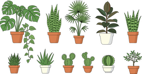Collection of indoor potted plant illustrations featuring monstera snake plant cactus and succulents in ceramic pots for home decor design