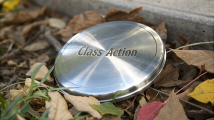 Metal disc labeled Class Action lying on dry autumn leaves