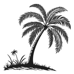 Fototapeta premium Tropical palm tree silhouette