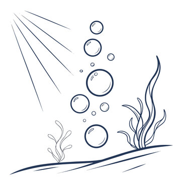 Underwater bubbles and seagrass
