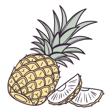 Freshly sliced pineapple