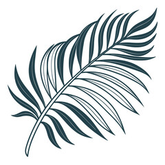 Fototapeta premium Single tropical leaf illustration