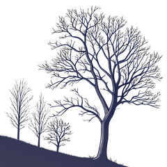 Obraz premium Silhouette of bare trees