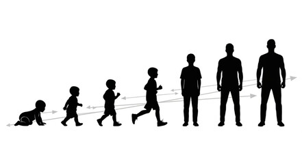 Human life cycle stages silhouette progression from baby to adult.