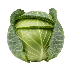 Obraz premium Green cabbage with curled leaves, vegetable for cooking or salad, Isolated, png isolated on Transparent Background