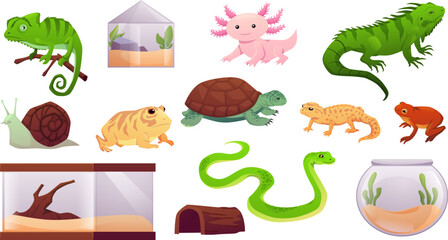 Fototapeta premium Exotic pets reptile vector set, cartoon turtle, frog, guana chameleon, axolotl and snake, terrarium and aquarium animals