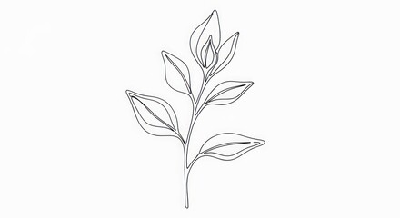 A simple black and white line drawing of a plant with elongated leaves, featuring a minimalist style.