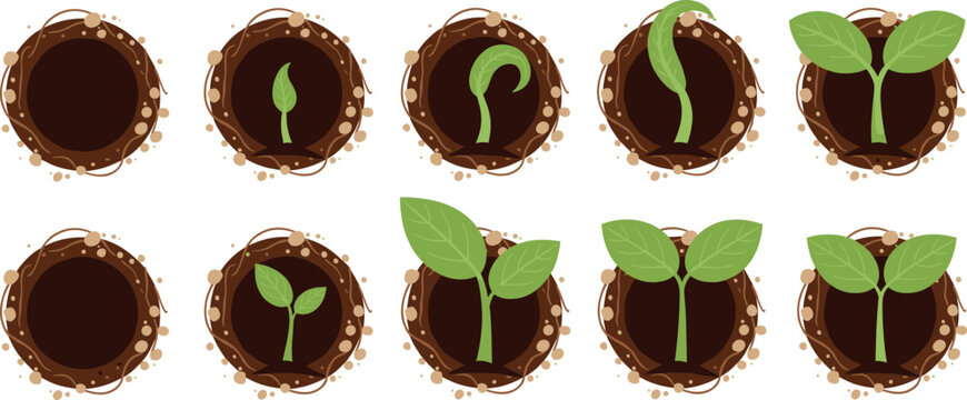 Plant growth cycle vector set showing seed germination and sprouting stages in soil for gardening and agriculture