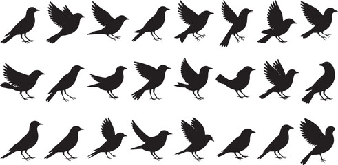 Collection of Black Bird Silhouettes in Various Poses © md