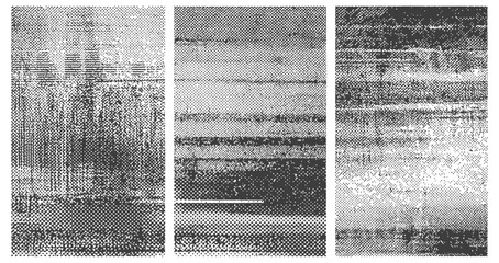 Three monochrome vertical panels with halftone dot noise and distorted digital glitch texture background
