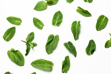 Composition with fresh mint leaves on white background