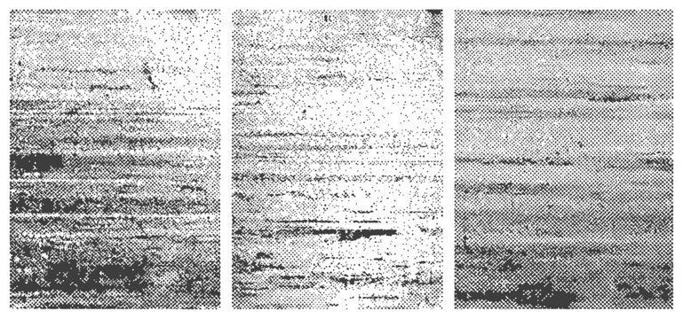 Halftone Grunge Texture Set Triptych Distressed Black and White Dot Screen Effect Background