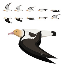 Short-Tailed Albatross Bird Flying Animation Sequence Cartoon Vector Illustration