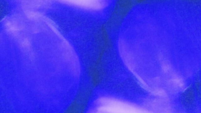 Cinematic Bloom Light Transition, Abstract Blue Light Leak And Film Blackout Frames. great for flashback edit