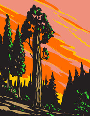 WPA poster art of General Grant Tree Trail in Kings Canyon National Park located in Sierra Nevada, California, USA done in works project administration.