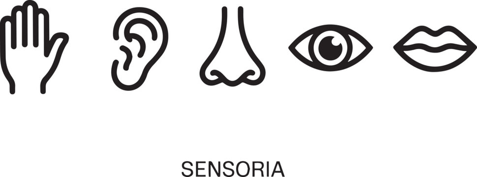 Five human senses icons with touch hear smell see taste
