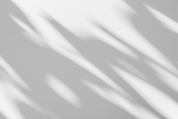 Naklejka premium Wall interior background, studio and backdrops show products.with shadow from window color white and grey. background for text insertion and presentation product 