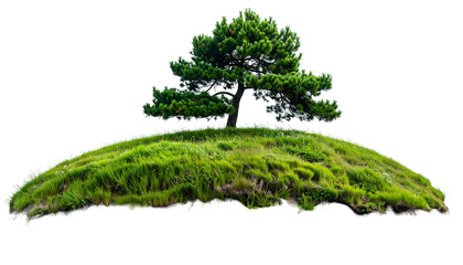 Isolated tree atop a grassy mound against a stark black background