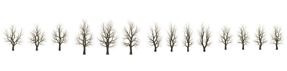 Fototapeta premium Collection of bare deciduous trees without leaves isolated on white background for architectural visualization