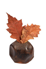 Ceramic vase with tree leaves. Object isolated on white background