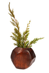 Ceramic vase with tree branches. Object isolated on white background