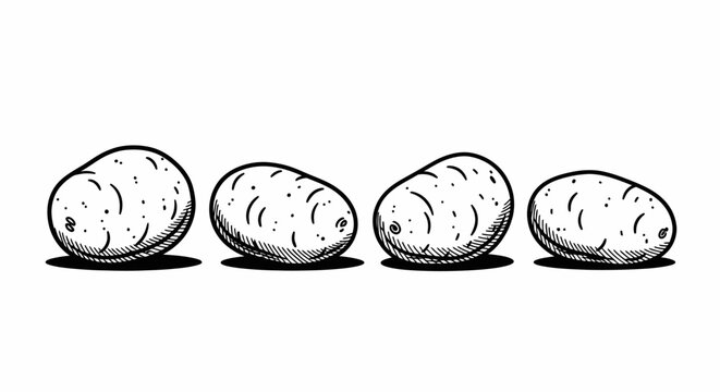 A row of four hand-drawn potatoes in a simple black and white illustration, casting subtle shadows.