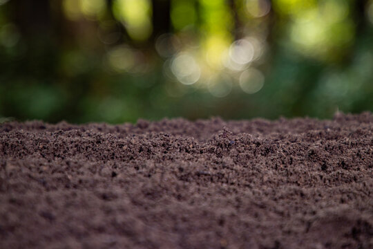 Soil texture with green nature bokeh background. Soil surface. Ground for farm. Soil and humus texture. Closeup of dirt and clay in farm field. Soil for planting. Cultivated land.