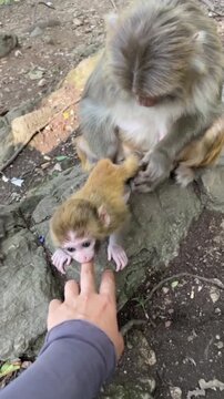 mother and son
