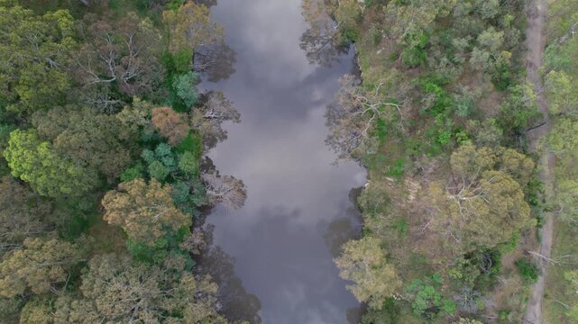 Drone view looking straight down and zooming out over the Yarra River at Studley Park the Melbourne, Victoria, Australia. December 2025