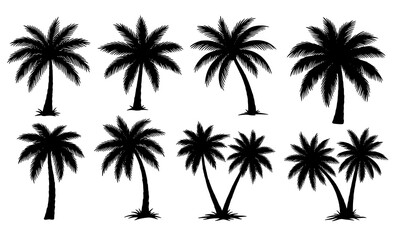 Obraz premium Tropical palm tree silhouettes hand sketched black vector set on white background