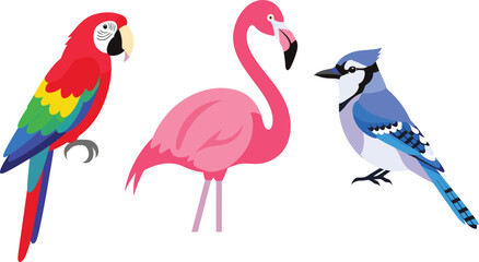 Fototapeta premium Set of Colorful Tropical Birds Illustration Featuring Macaw Flamingo and Blue Jay Isolated on White