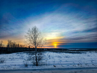 Sunset over a snow-covered field with a bare birch tree. Winter landscape at dusk. Natural beauty of cold season.