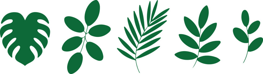 Tropical Leaf Vector Set Green Botanical Foliage © MST
