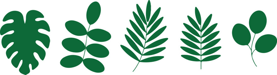 Tropical Leaf Vector Set Green Botanical Foliage © MST