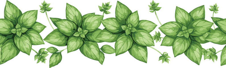 Fototapeta premium Watercolor Basil Leaf Border Illustration With Fresh Green Herb Foliage Garland For Cooking Packaging And Botanical Design