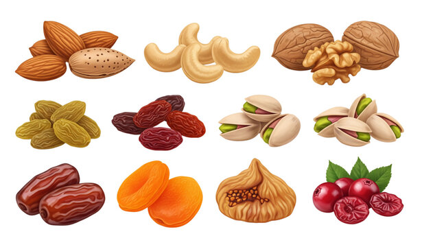 A colorful vector illustration of various nuts and dried fruits