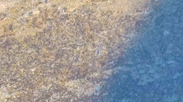 Green tropical river lake stream water flow texture pattern of Thailand.