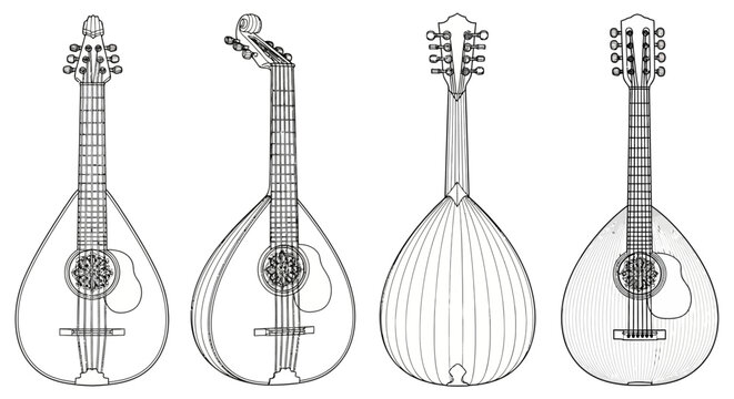 Line art illustrations of four different views and styles of mandolin-like stringed musical instruments, showcasing their distinct shapes and features.
